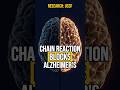 Exercise Blocks Alzheimer's: Scientists Found the Chain Reaction