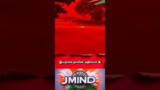 Why The Sky Turned Pink During Cyclone Narelle  Science Explainedpink Sky cyclone science