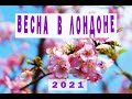 Жизнь в Англии. Весна в Лондоне. Новый Закон в Англии