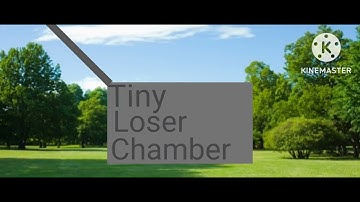 Going In Tiny Loser Chamber Add Round 1