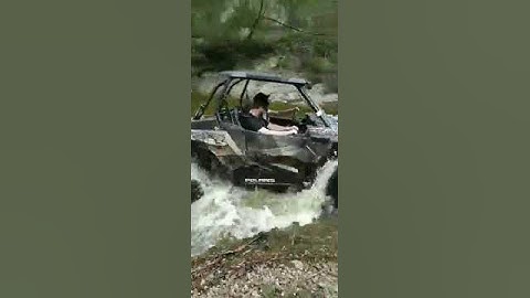 Palaris rzr going deep
