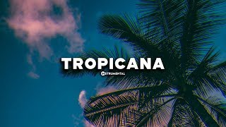 Dancehall Instrumental 2019 ~ "TROPICANA." | (Prod. Wizical Beatz)