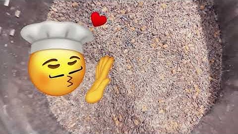 How to: transitioning chicks from starter feed