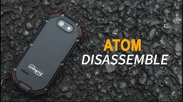 Disassemble Atom