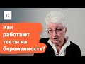 Гормоны и беременность – Ольга Смирнова / ПостНаука