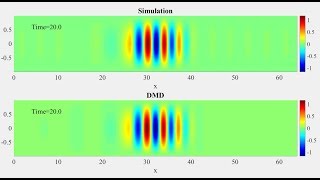 Dynamic Mode Decomposition (DMD) of Breather in 2D