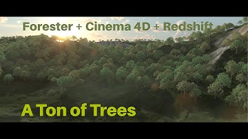 Forester Test: A Ton of Trees (Redshift Render, 4K, HDR)