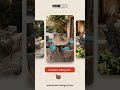 Outdoor Dining Sets Australia | 30% OFF Outdoor Living Sale #outdoorliving #outdoorfurniture #shorts