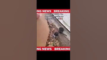 Offensive Shitpost status V190