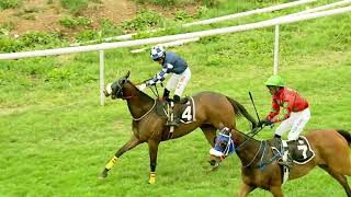 WOOD ART wins The Delhi Race Club 1940 Ltd Trophy Div2