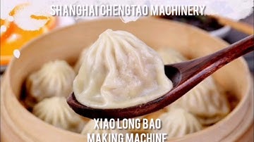 全自动小笼汤包机 How to make xiao long bao soup dumpling soup bun with machine- Chengtao Machinery