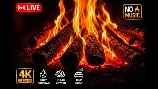 🔴 LIVE: You Found the Coziest Fireplace 🔥 Crackling Fire Sounds for Sleep, Relax & Unwind | 4K