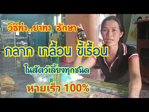 ขั้นตอนการทำ ยาทารักษา กลาก เกลื้อน ขี้เรื้อน(ในสัตว์ทุกชนิด) | by ชีลองฟาร์ม