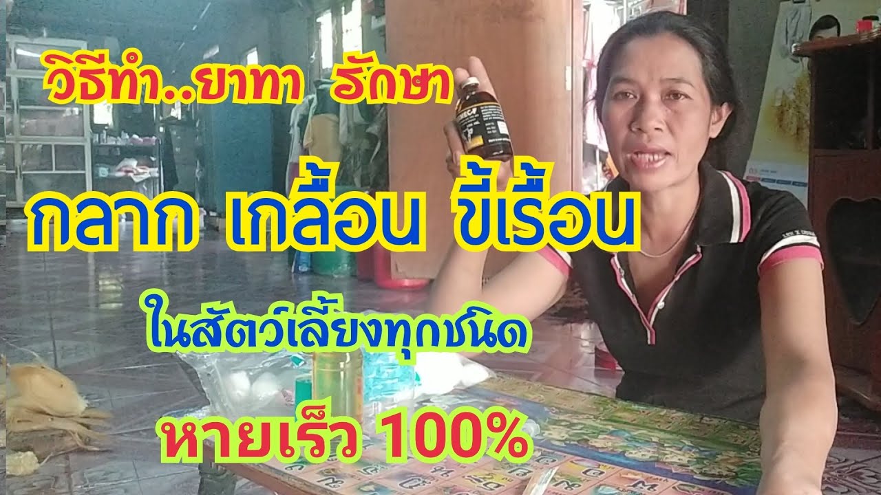 ขั้นตอนการทำ ยาทารักษา กลาก เกลื้อน ขี้เรื้อน(ในสัตว์ทุกชนิด) | by ชี ... ขั้นตอนการทำ ยาทารักษา กลาก เกลื้อน ขี้เรื้อน(ในสัตว์ทุกชนิด) | By ชี ...
