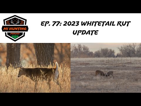 Ep. 77: 2023 Whitetail Rut Update