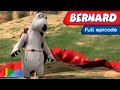 Bernard Bear - 152 - Paragliding