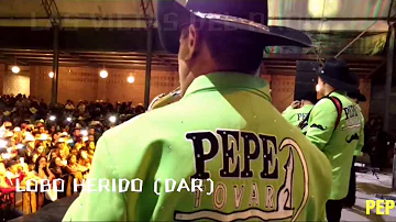 LOBO HERIDO - PEPE TOVAR Y SUS CHACALES