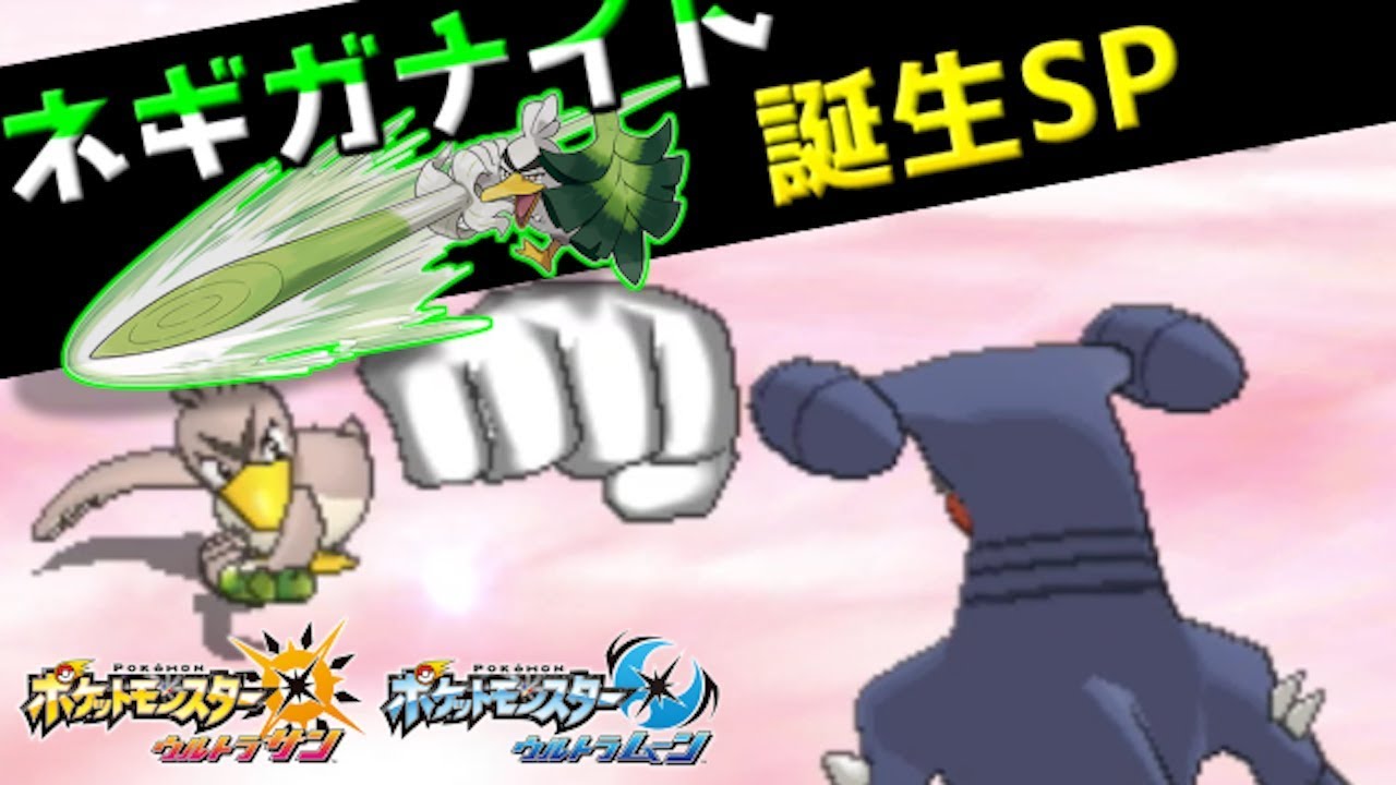 カモネギ 育成 イメージポケモンコレクション