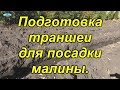 Малина. Правильная подготовка траншеи для посадки.