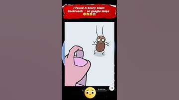 I found a giant Cockroach 🪳 on google maps #googleearth #tranding #yt #ytshorts #viralshorts