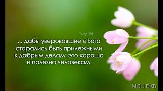 Видео "Здоровая духовная пища". А. Н. Оскаленко. Проповедь. МСЦ ЕХБ. (автор: Евангельская Весть)
