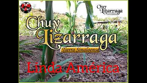 Linda Amrica | Chuy Lizarraga