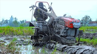 Farmer Using A Powerfull Hand Tractor Tilling Preparing Rice Plantation