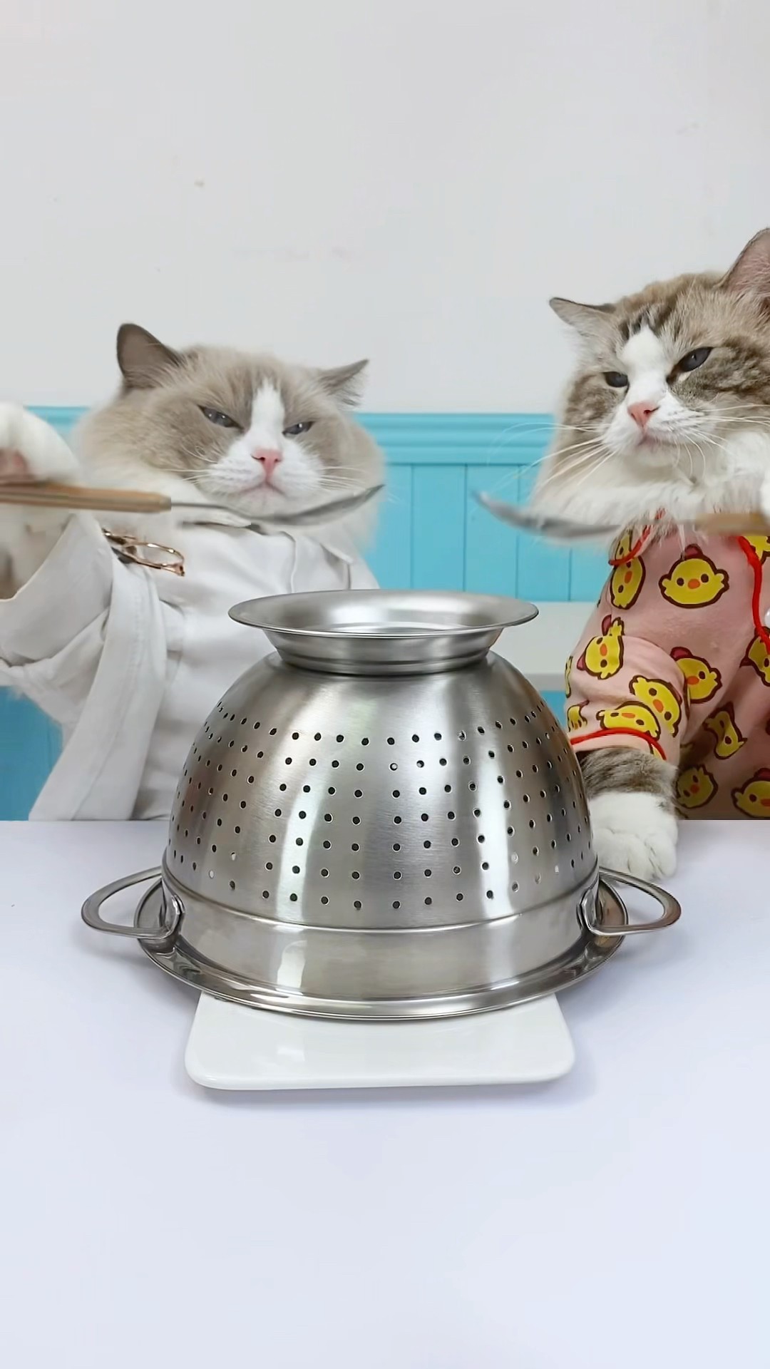 See how Puff handles a spam call with his own hilarious tricks! ? #PuffThePrankster #thatlittlepuff