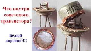 Что внутри транзистора? Зачем белый порошок?