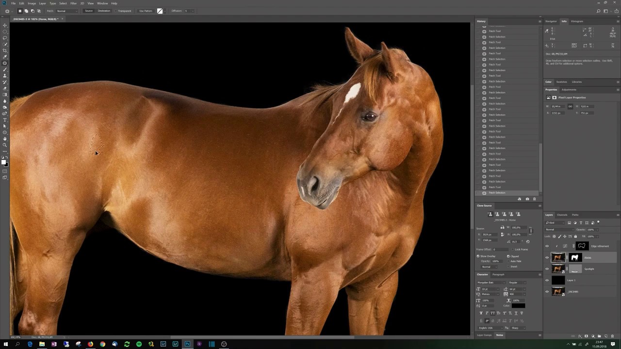 adobe photoshop download file horse