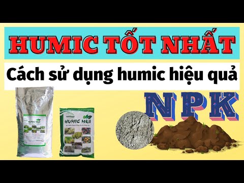 Video: Tạo rễ hữu cơ cho cây trồng: Các cách tự nhiên để tạo rễ cây là gì