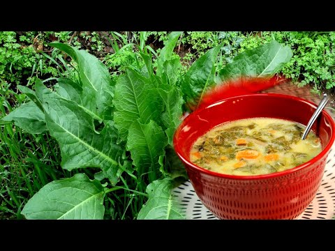 Healthy Yellow Dock Soup With Yoghurt An Soba Noodles - Supa Ot Lapad