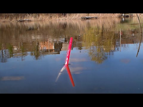 Видео: ЛОВЛЯ КАРАСЯ НА ВЕЧЕРНЕЙ ЗОРЬКЕ! ВОТ ЭТО КЛЁВ! рыбалка на поплавочную удочку на карася.familyfishing