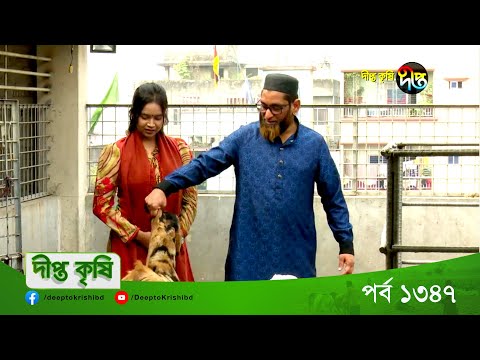 DEEPTO KRISHI || বাড়ির ছাদে বিশাল গরু-ছাগলের খামার || Deepto TV