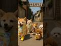 강아지가 뜯은 포켓몬빵… 이 띠부씰은 반칙입니다 🐶🍞 | This dog pulled a Pokémon sticker that’s totally unfair! #pets #시바견