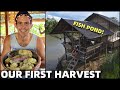 PHILIPPINES BEACH LAND FOOD HARVEST - Visiting The Famous Fish Pond (Cateel, Davao)