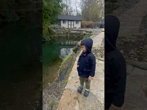 My Four Year Old Cousin Slayin It On The RC Boat RC Music Funny Shorts