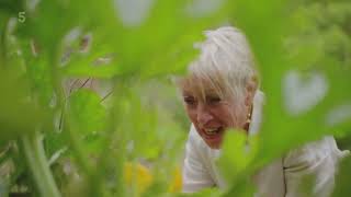 🔴 Gradeners'World | Gardening with Carol Klein Carol is Shining a LIGHT on Grasses