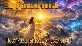 ДРАКОНЫ – Не отказывайтесь от эволюции!
