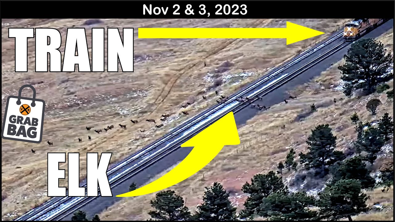 ELK ON THE BIG 10 RAILS! MEETS, RACES, TURBO BLOWS & MUCH MORE!