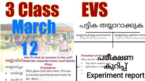 Class 3 Evs worksheet march 12|kite |victers worksheet |3 class evs march 12 work|victers 3