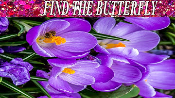 Can You Find The Hidden Objects | 99% Fail | New Game | Brain Teaser | Mind Booster