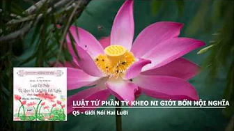 Q5 - Giới Nói Hai Lưỡi 
