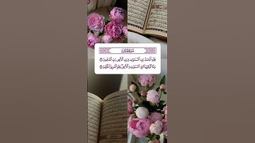 سورة الجاثية #المصحف #قران_كريم