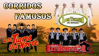 Puros Corridos - Los Tucanes De Tijuana, Los Tigres Del Norte, Grupo Exterminador - Corridos Famosos