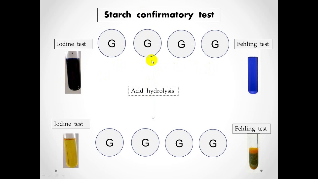 practical  carbohydrate/ #biochemistry  #عملى البايو كامل   # عملى بايو اولى بشرى