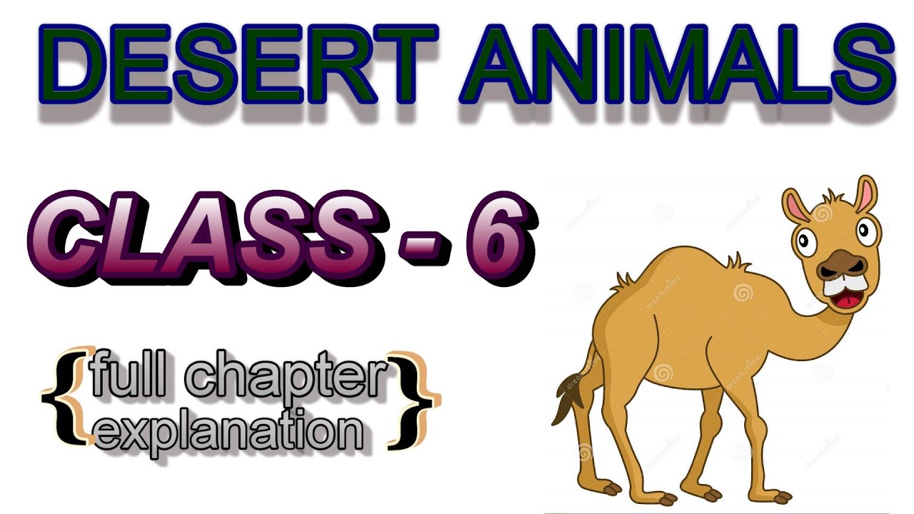Class 6 English - HoneySuckle Chapter 9 Desert Animals || Explanation in  Hindi | Study Trend | - YouTube