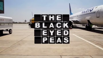 AMVR THE BLACK EYED PEAS DON