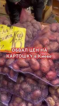 Сколько стоит КАРТОШКА в УКРАИНЕ? #украина #київ #киев #україна # ...