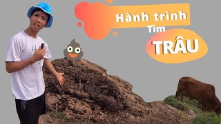 HÀNH TRÌNH TÌM TRÂU VÀ TỪ VỰNG BÊN ĐƯỜNG | TIẾNG ANH NHÀ QUÊ